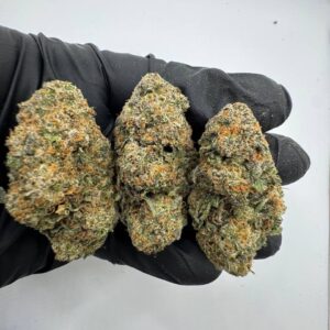 Truffle Treats Strain