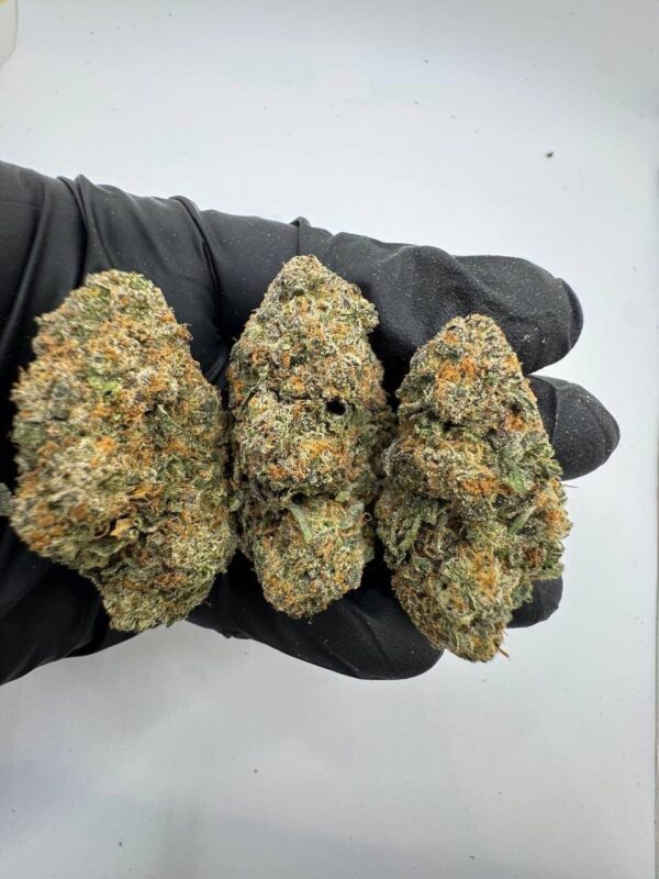 Truffle Treats Strain