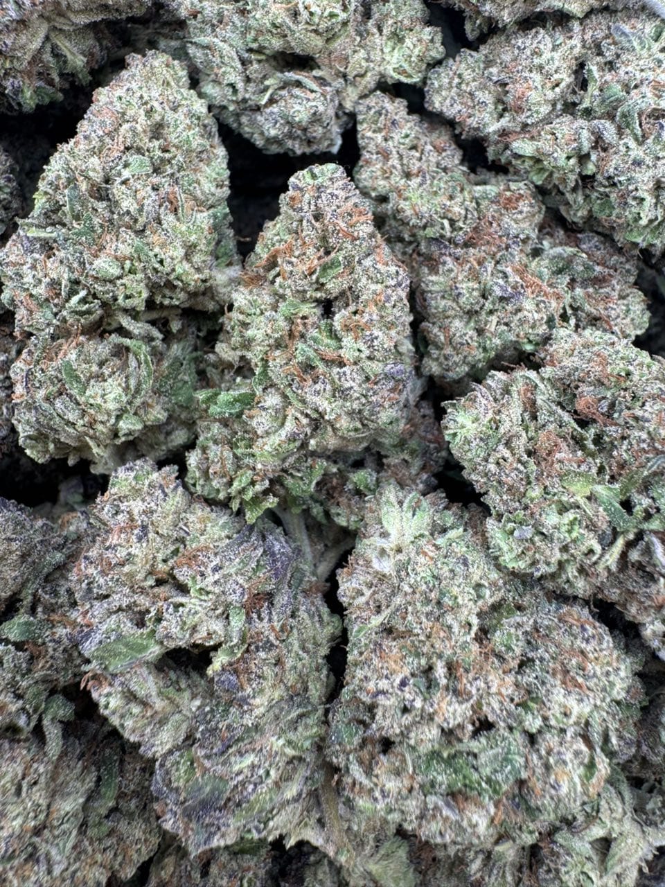 Blue Fire strain 