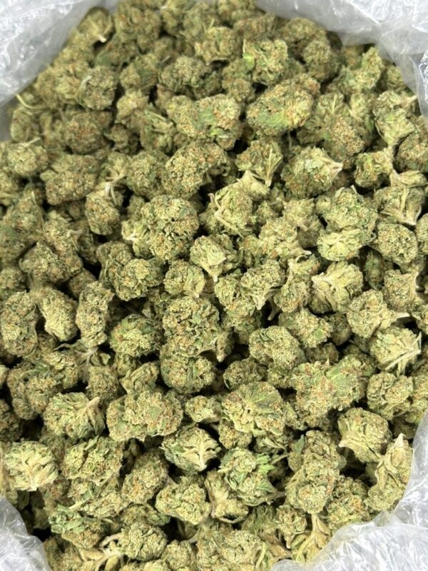 Orange Fanta strain