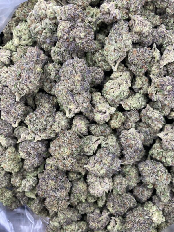 Oreo Frost strain